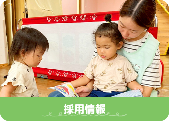 採用情報